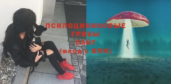 хмурый Вязьма