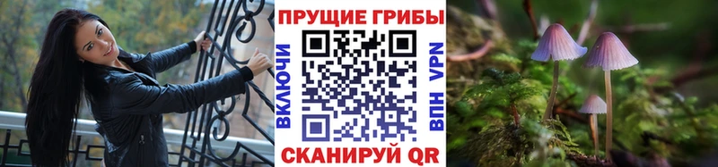 Псилоцибиновые грибы мухоморы  Купить закладки  Нязепетровск 